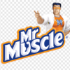 Mr Muscle