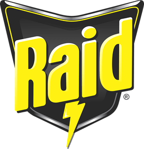 Raid