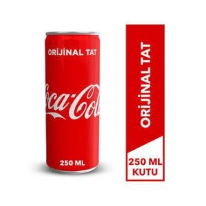 Coca Cola Kutu 250 ml